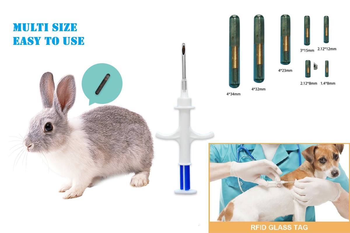 Plastic-Injector-for-animal-injection tag.jpg
